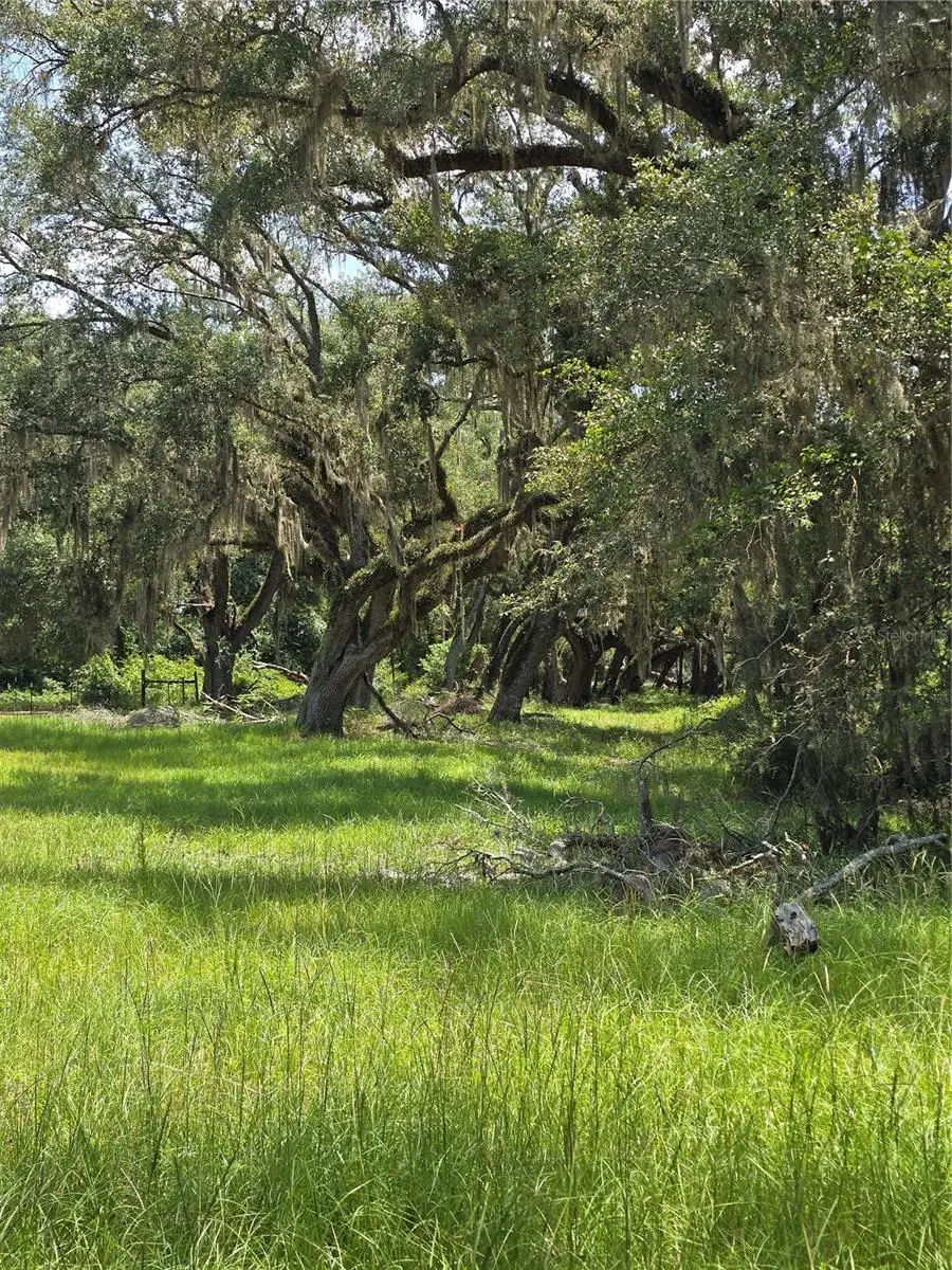 7563 County Road 405, FL