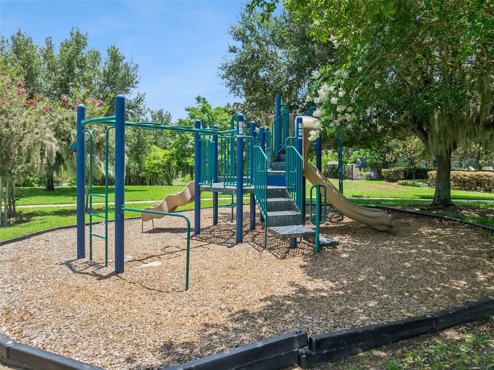 2514 Plumadore Drive, FL
