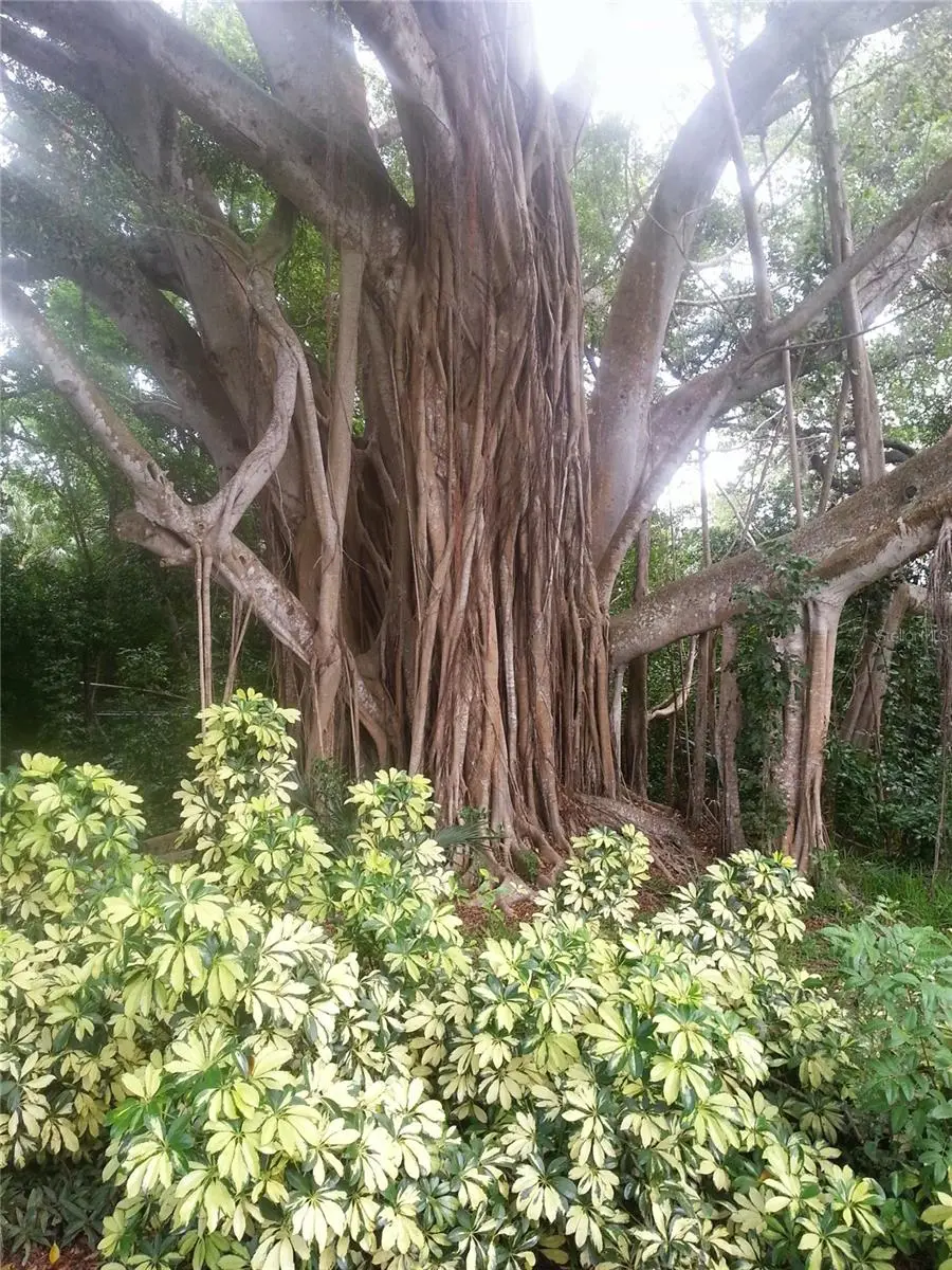 2008 Canal Drive, FL