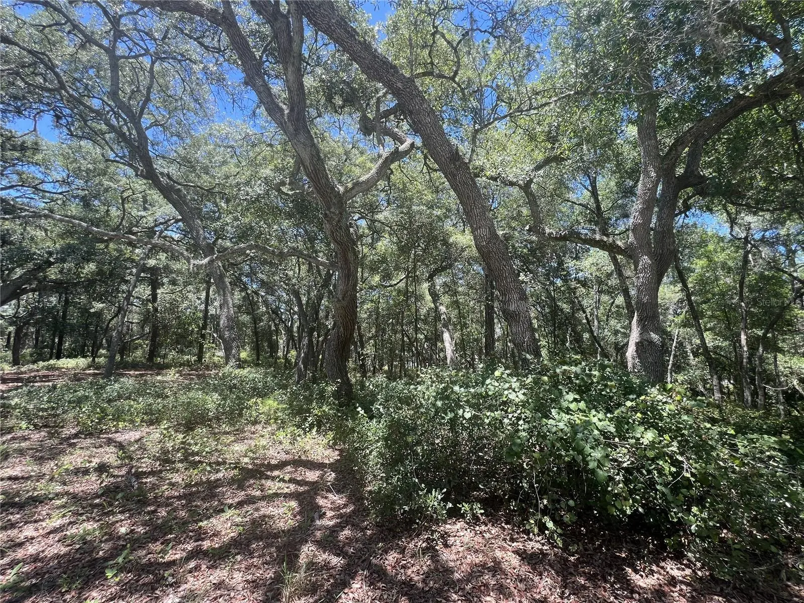 1425 Renbar Road, FL
