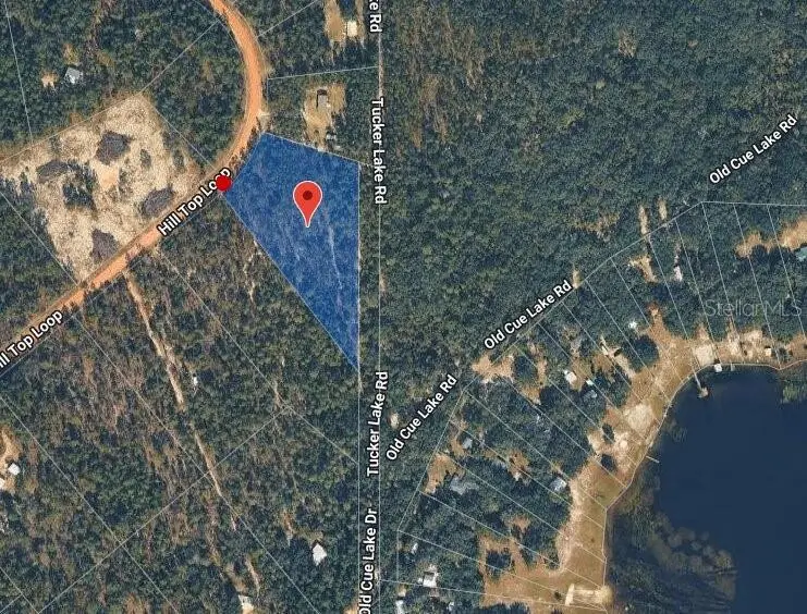 181 Hill Top Loop, FL