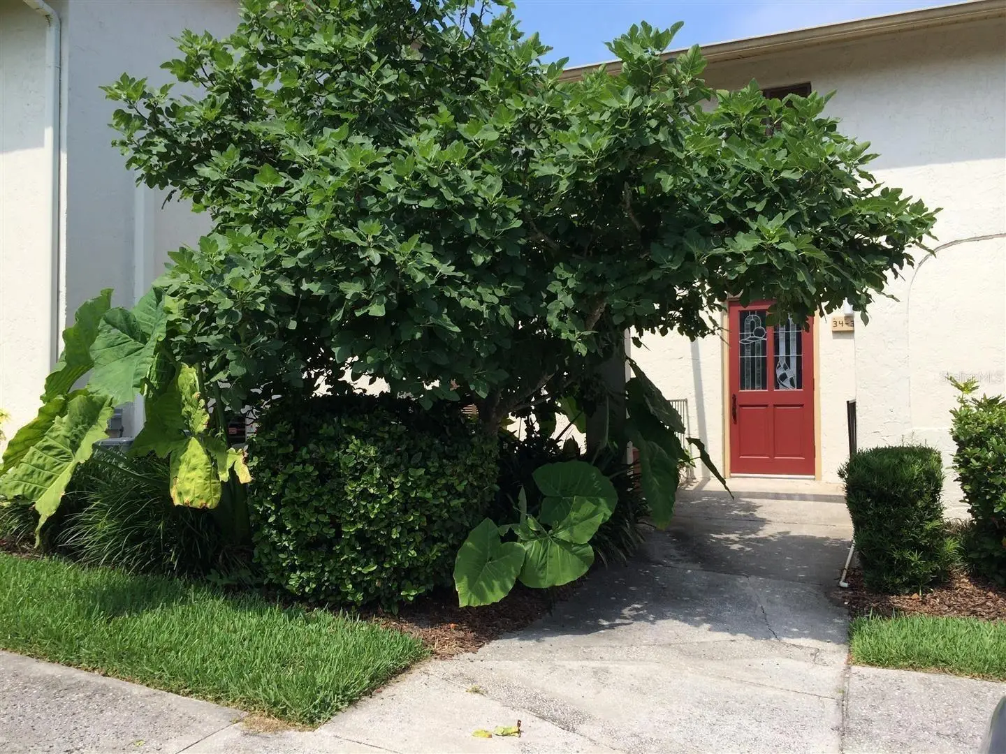 200 Maitland Avenue, FL