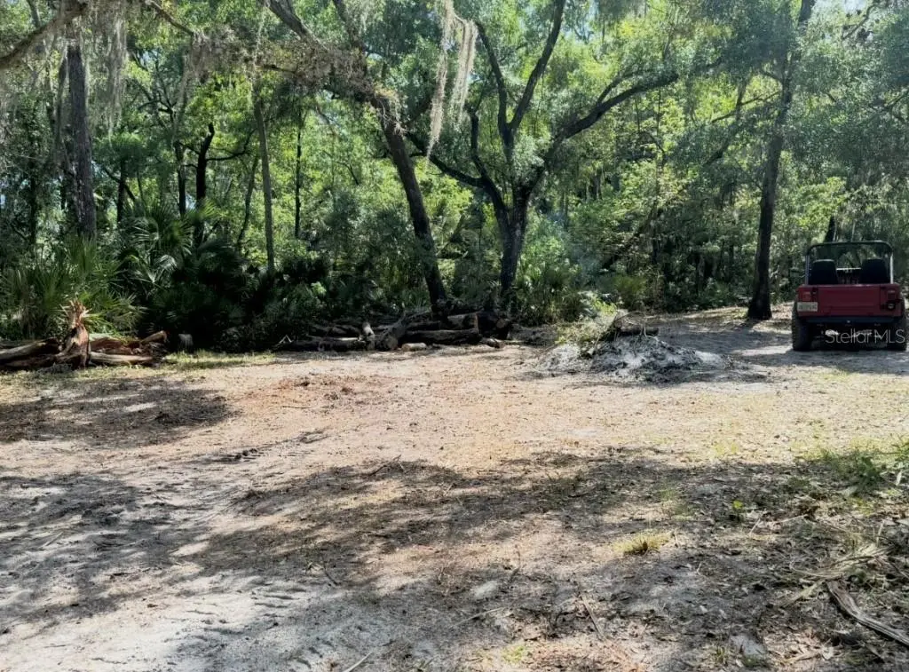 901 Shoals Landing Drive, FL