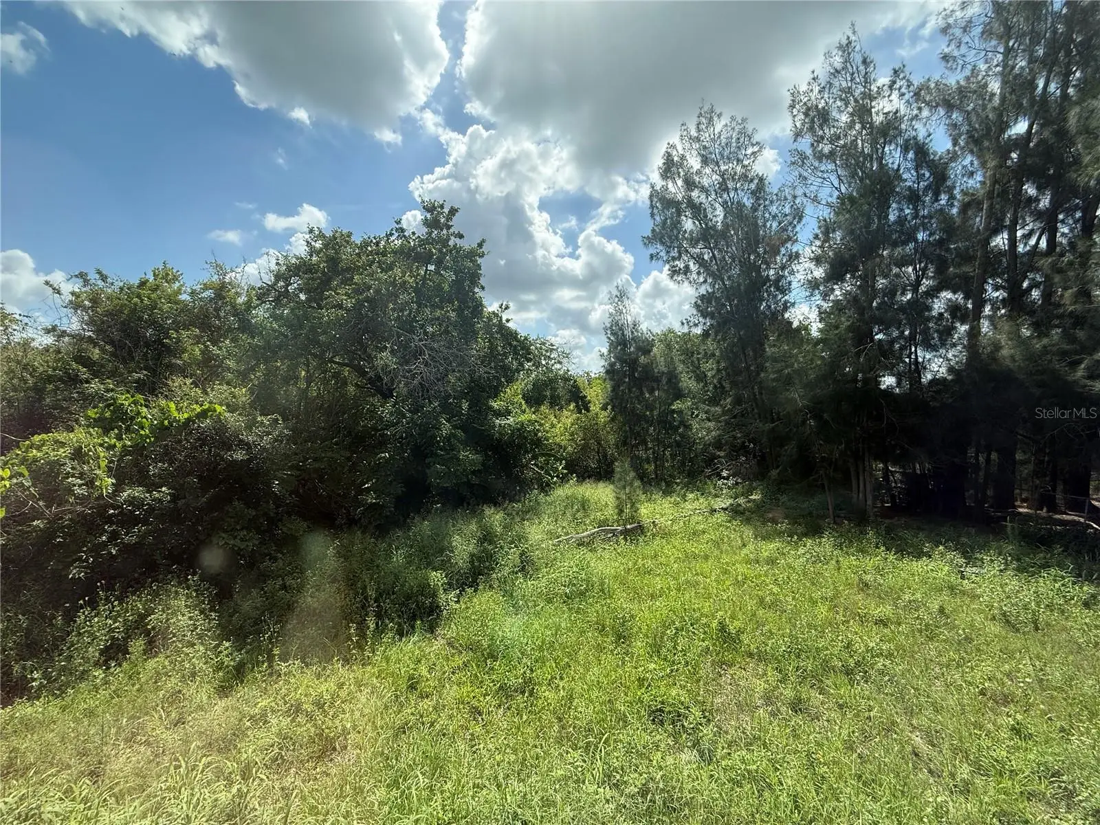 3035 Crystal Hills Drive, FL