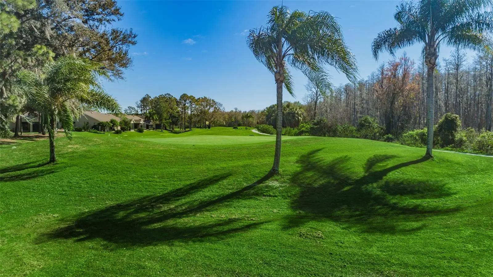 6646 Garden Palm Court, FL