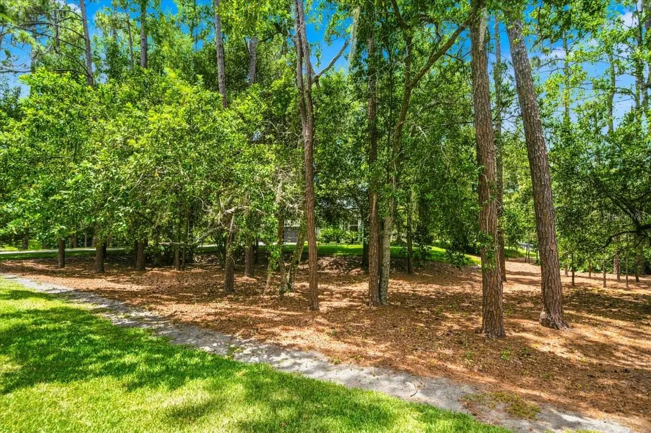 418 Pine Bluff Drive, FL