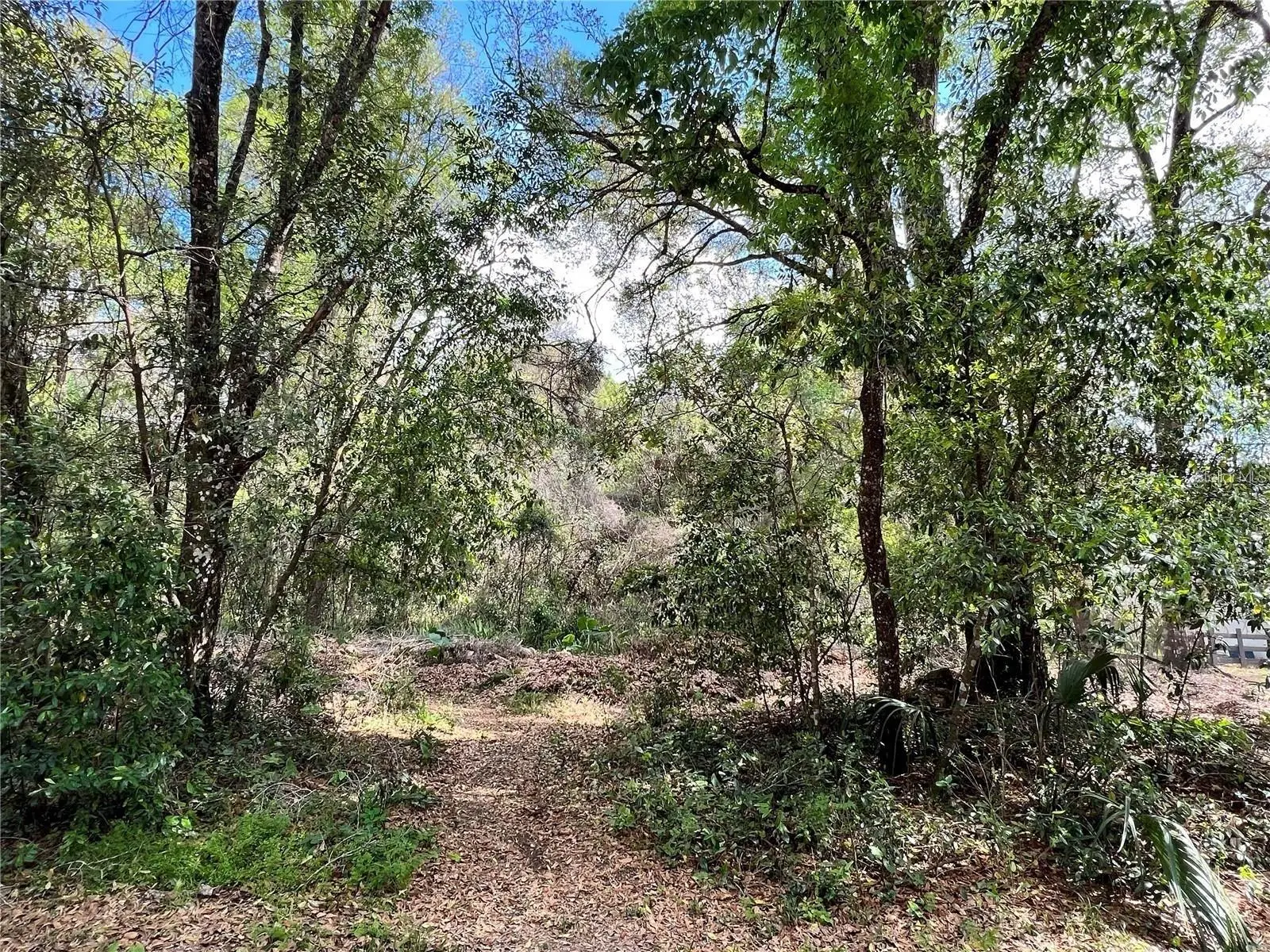 0 Garfield Avenue, FL