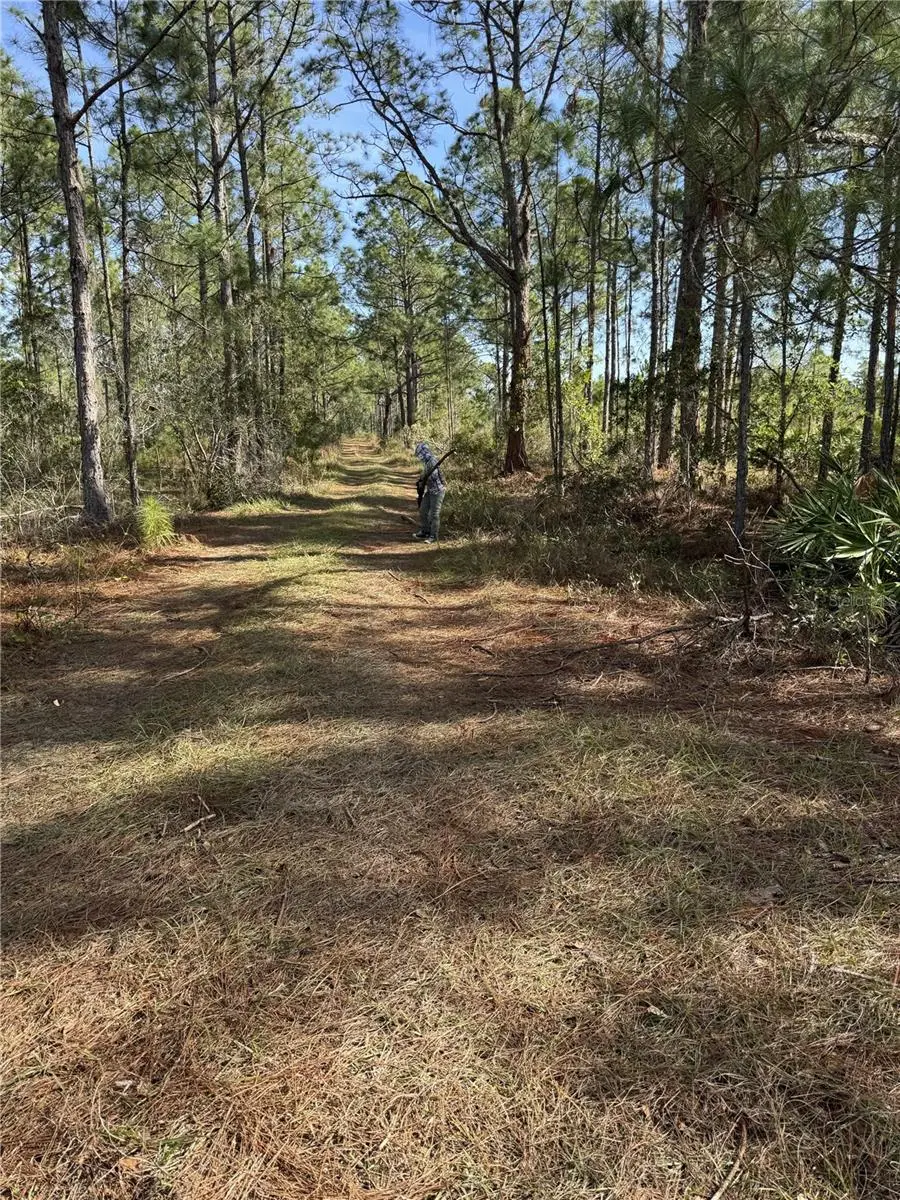 Tbd, FL