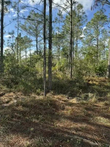 Tbd, FL