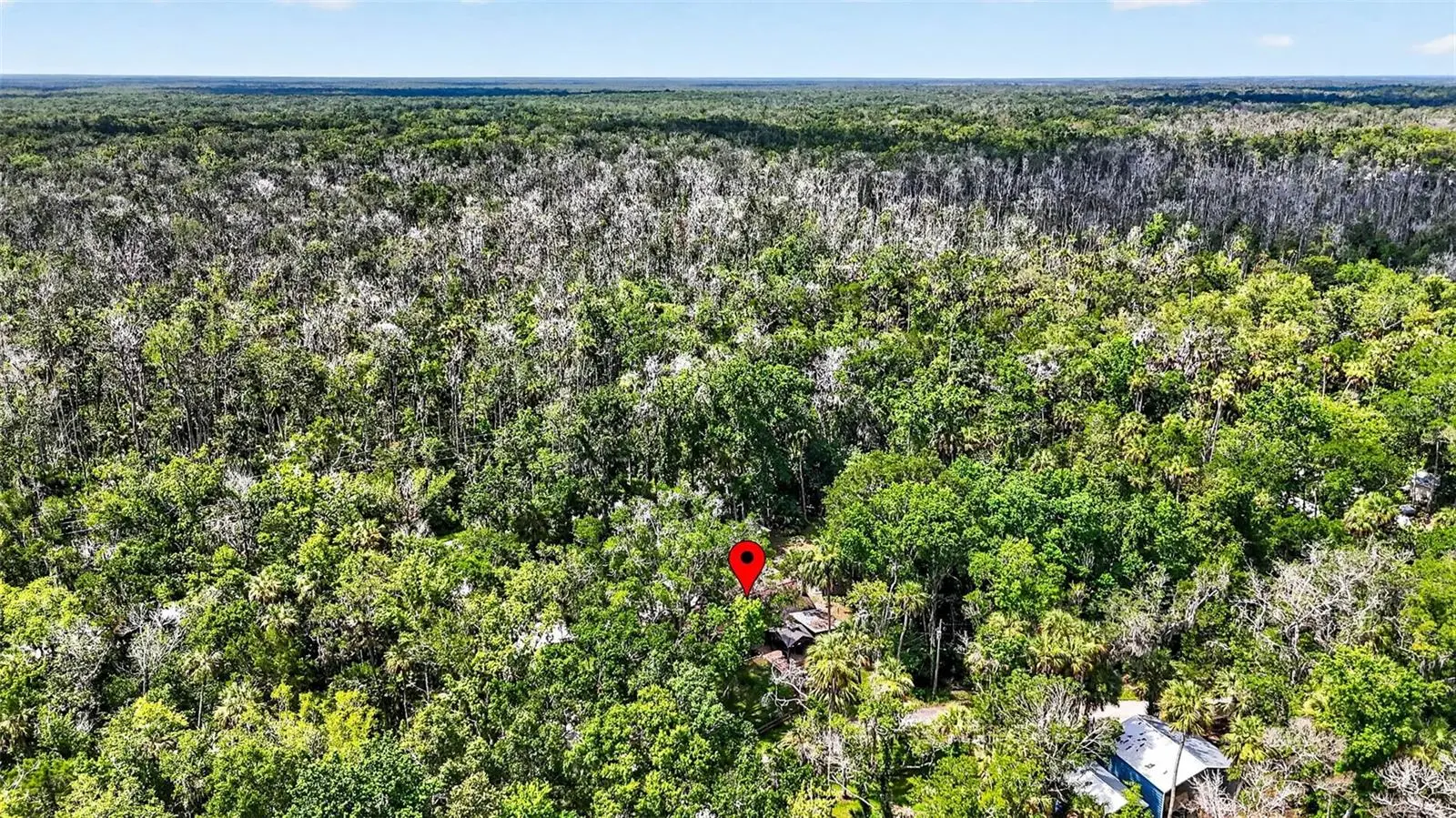 4600 Lewoods Drive, FL