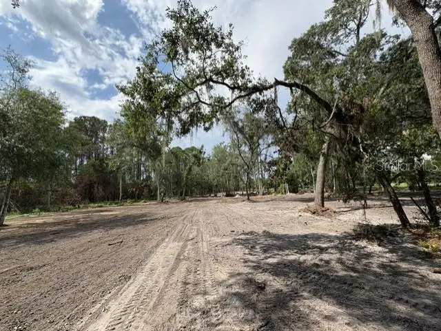 County Road 309, FL