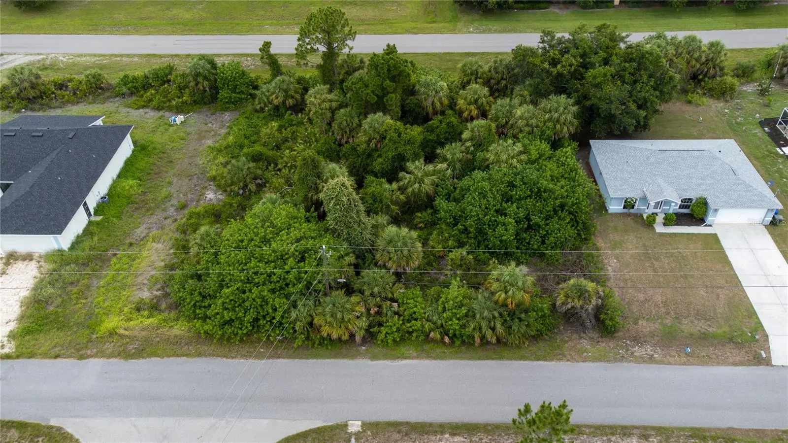 Andris Street, FL