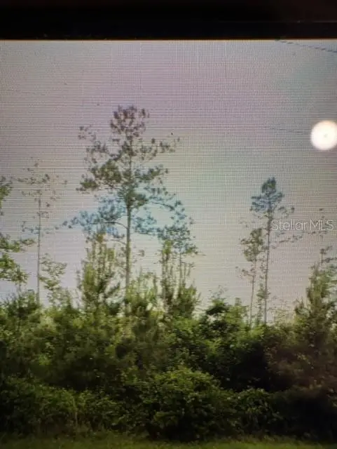 County Road 305, FL