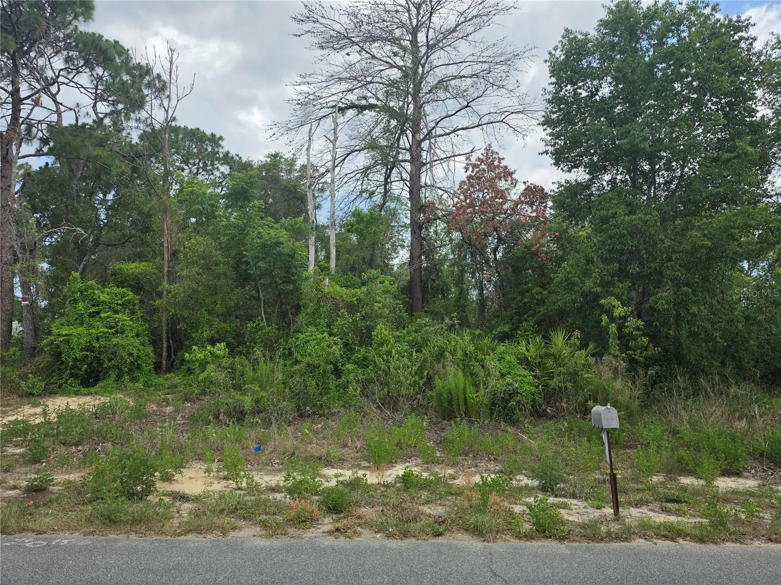 3475 El Prado Avenue, FL