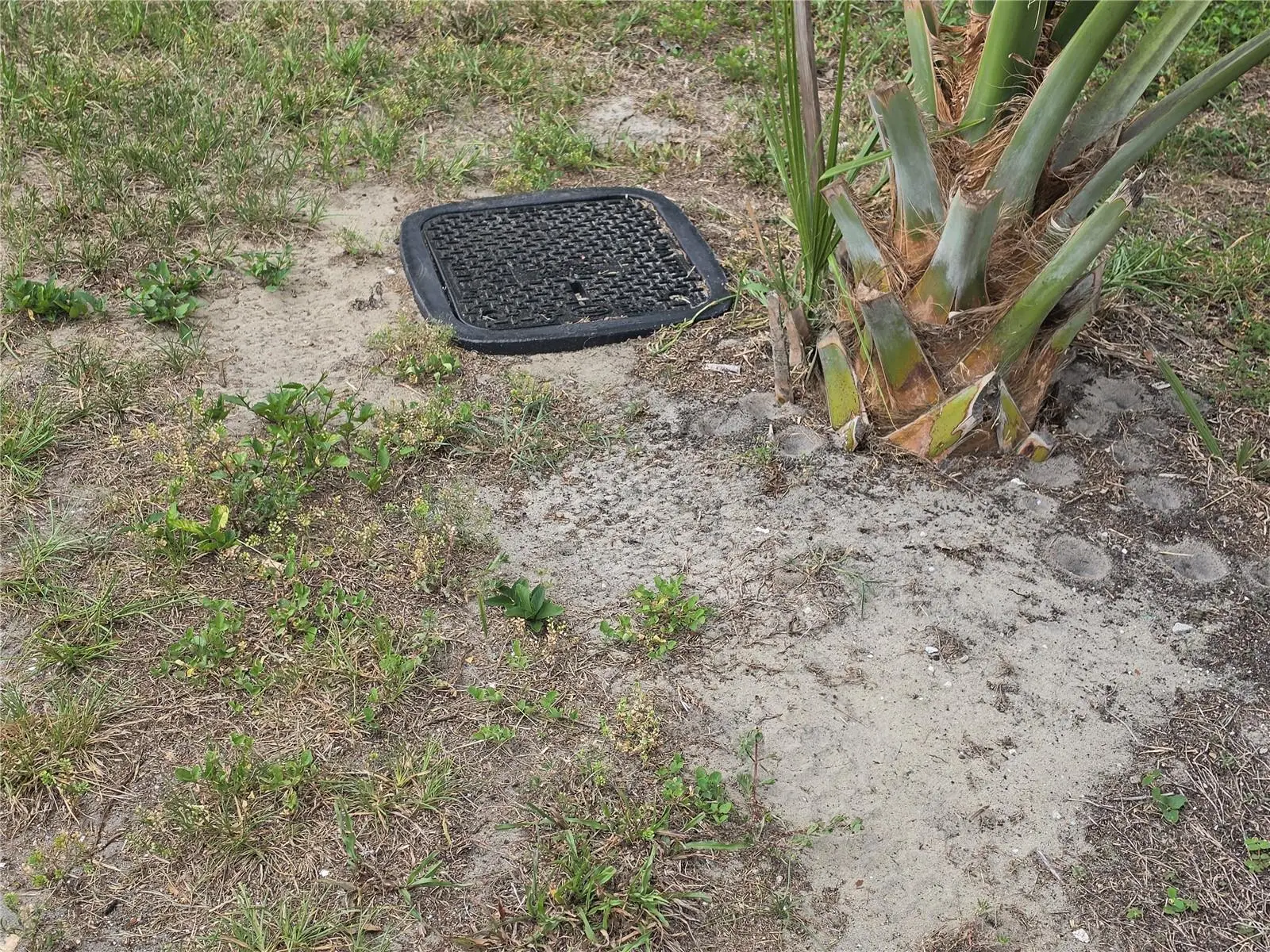 3475 El Prado Avenue, FL