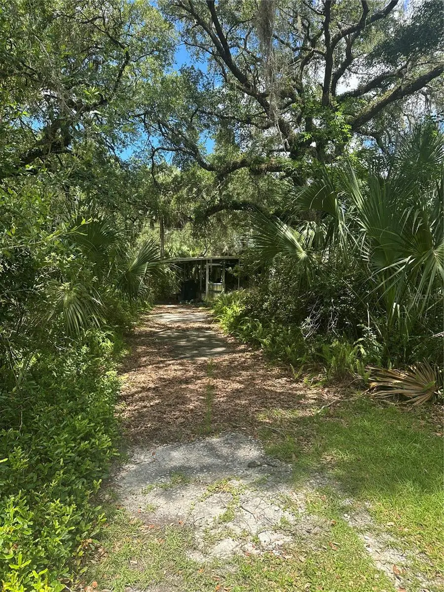 10828 Freddy Street, FL