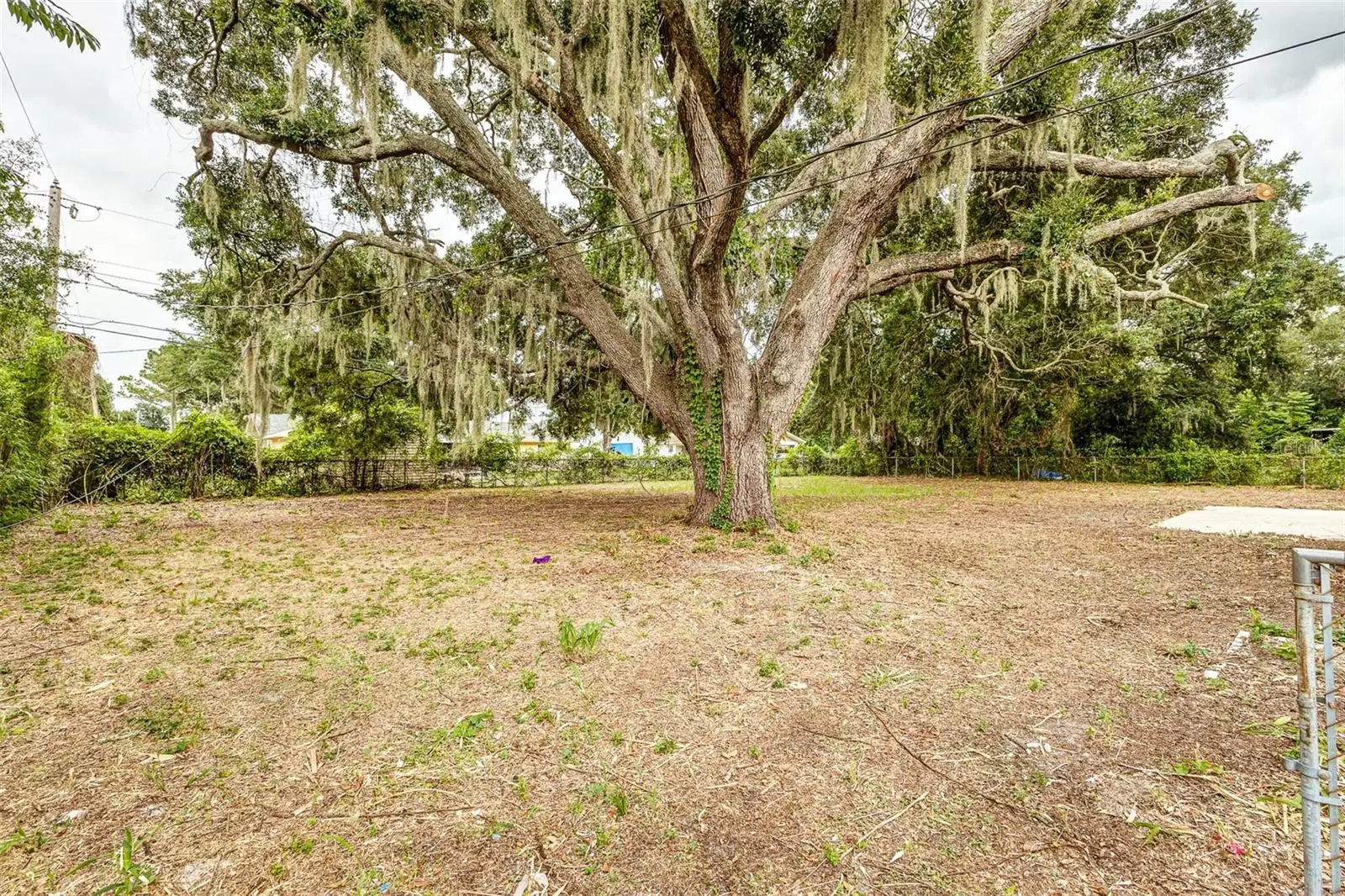 5421 Lake Luther Road, FL