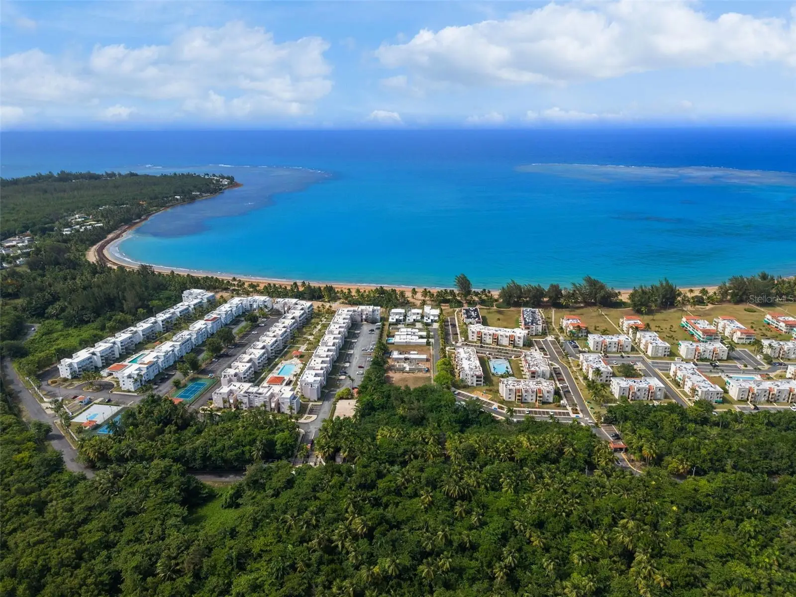 Ocean Forest, PR