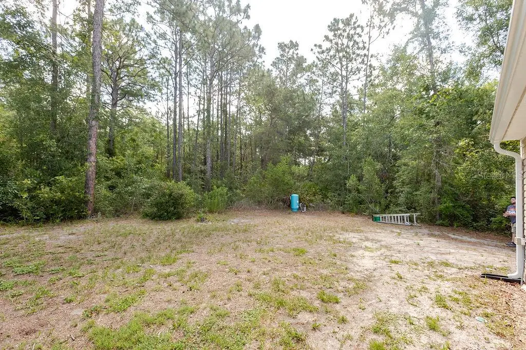 12307 Millington Avenue, FL