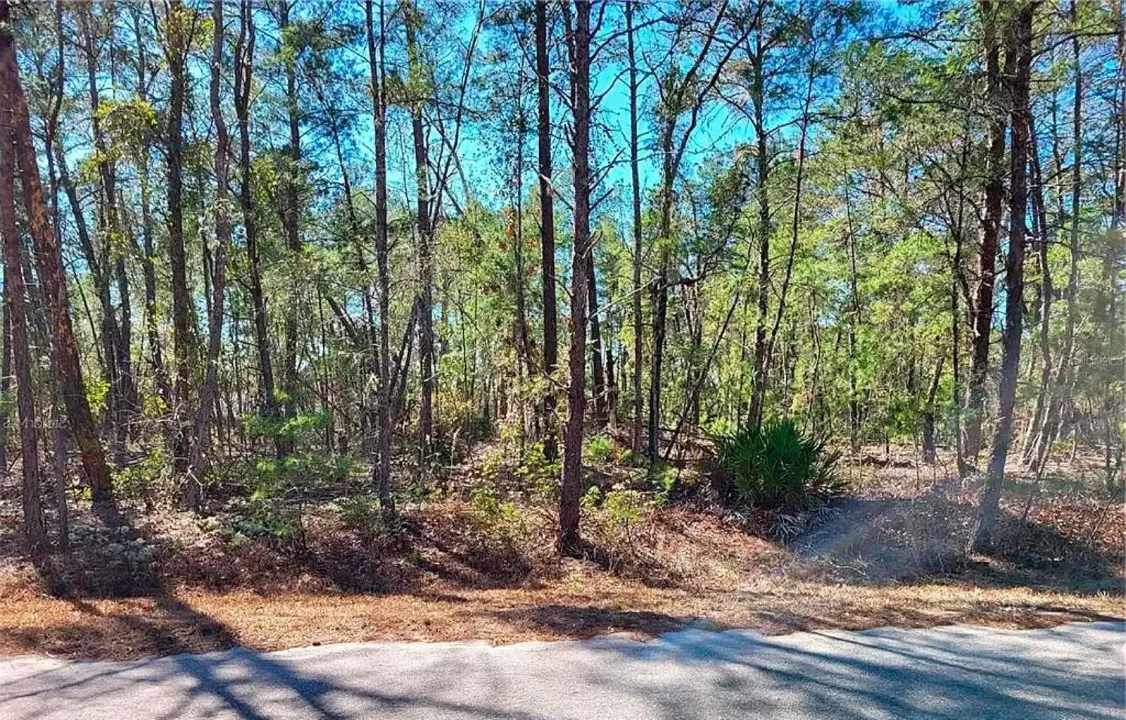 76 Fisher Run Terrace, FL