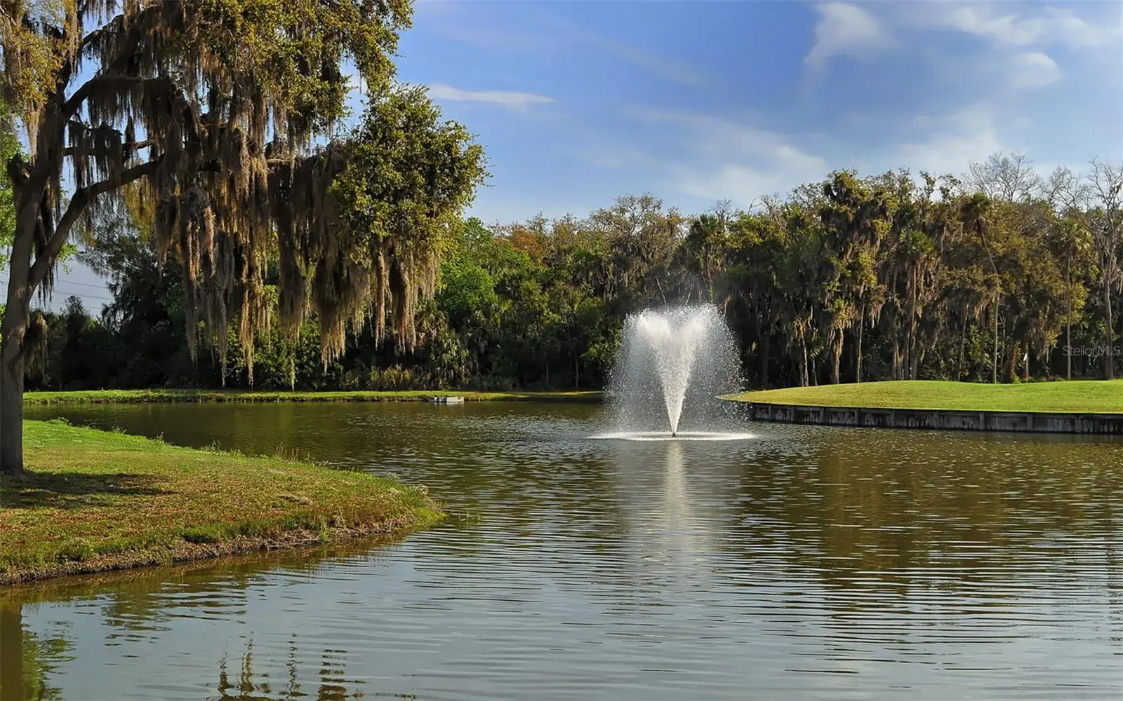 8234 Tea Olive Terrace, FL