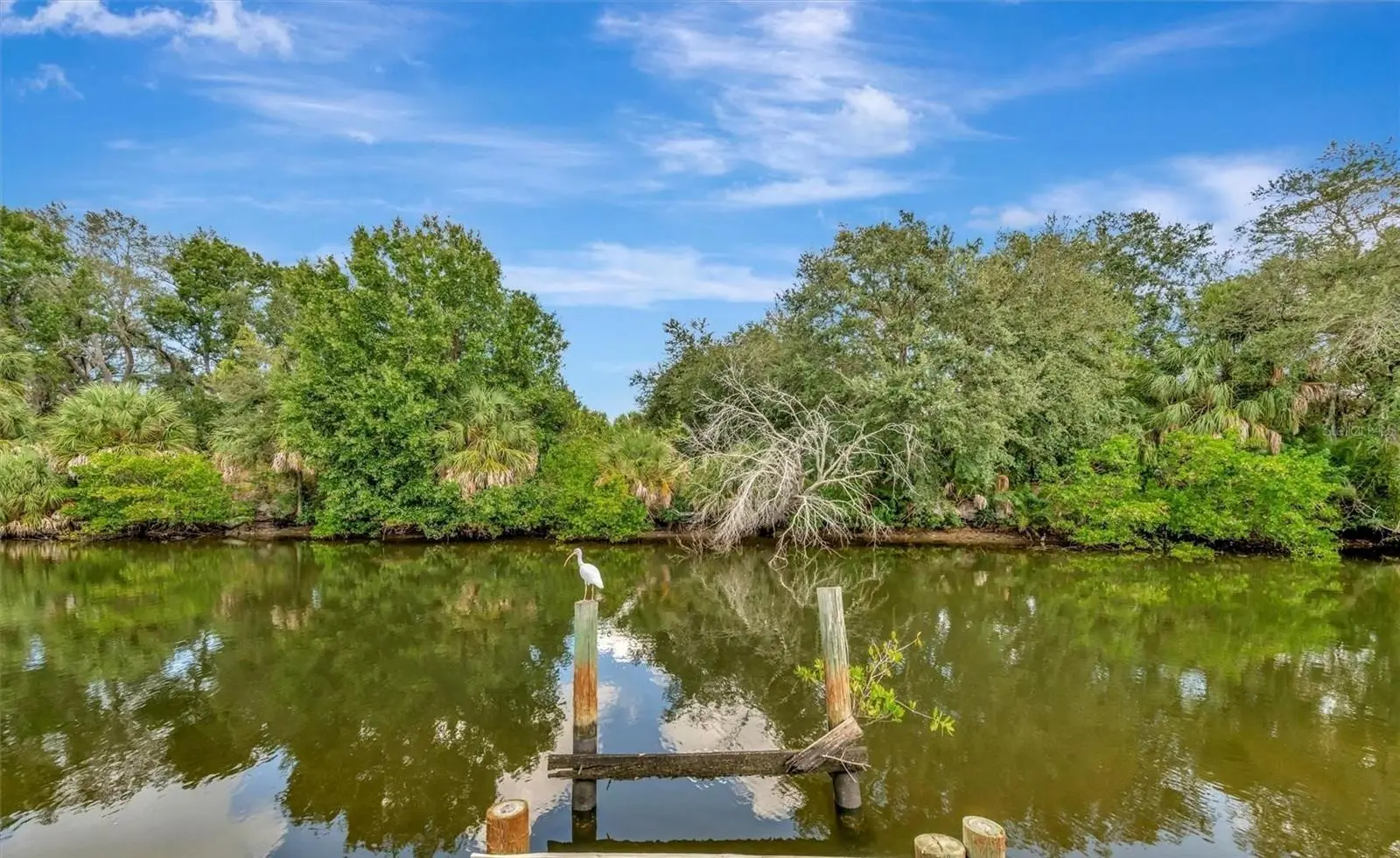 236 Saint Thomas Circle, FL