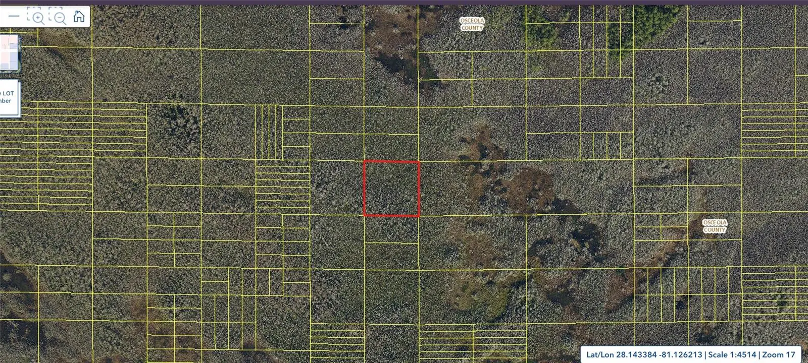 Holopaw Groves Road, FL