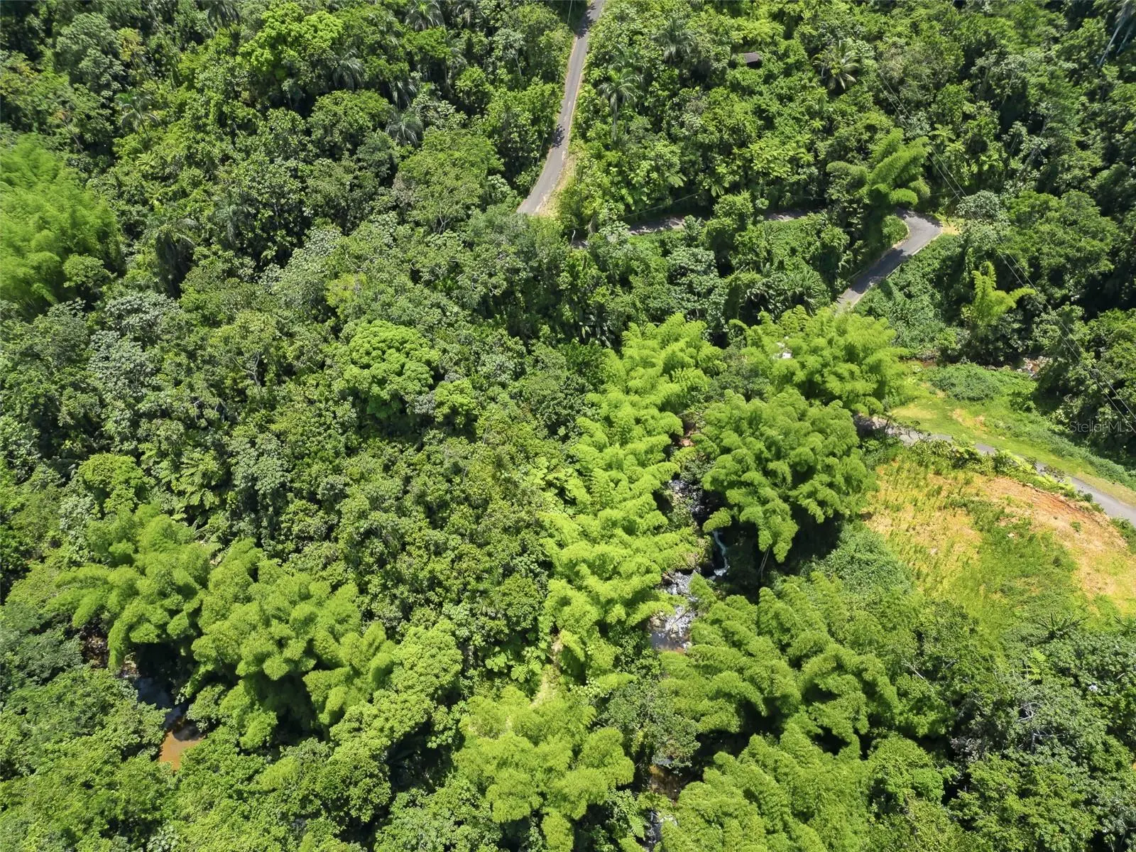 Carretera 124 Km 1.3 Bo. Buena Vista, PR