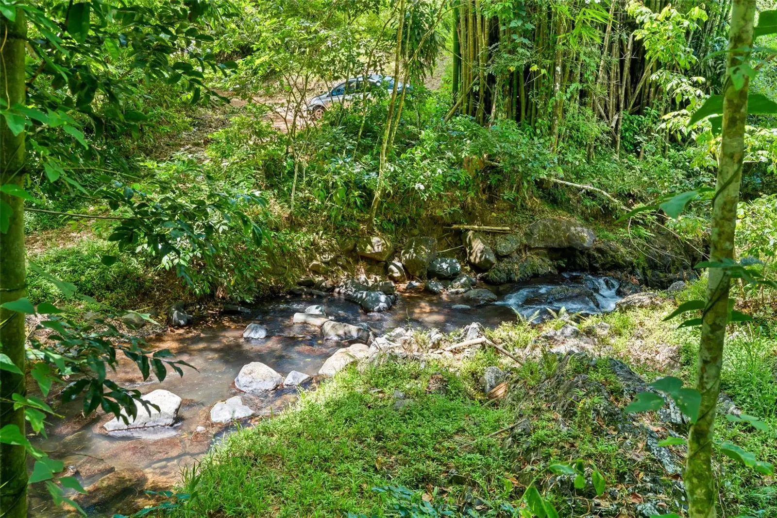 Carretera 124 Km 1.3 Bo. Buena Vista, PR
