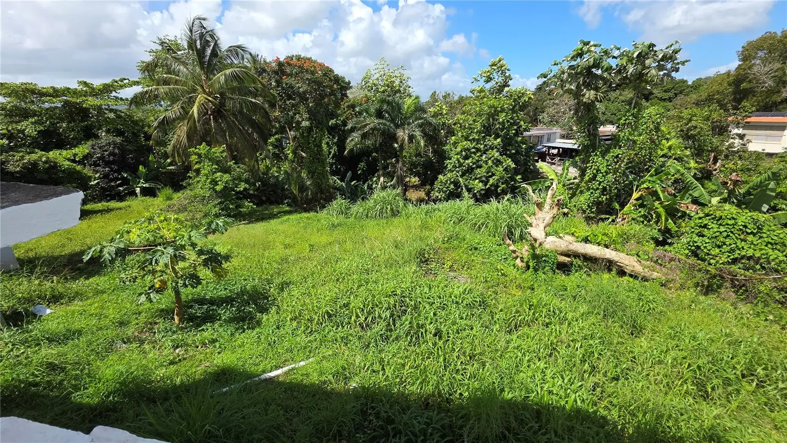 Pr 922 Km 0.4 Bo. Collores, PR