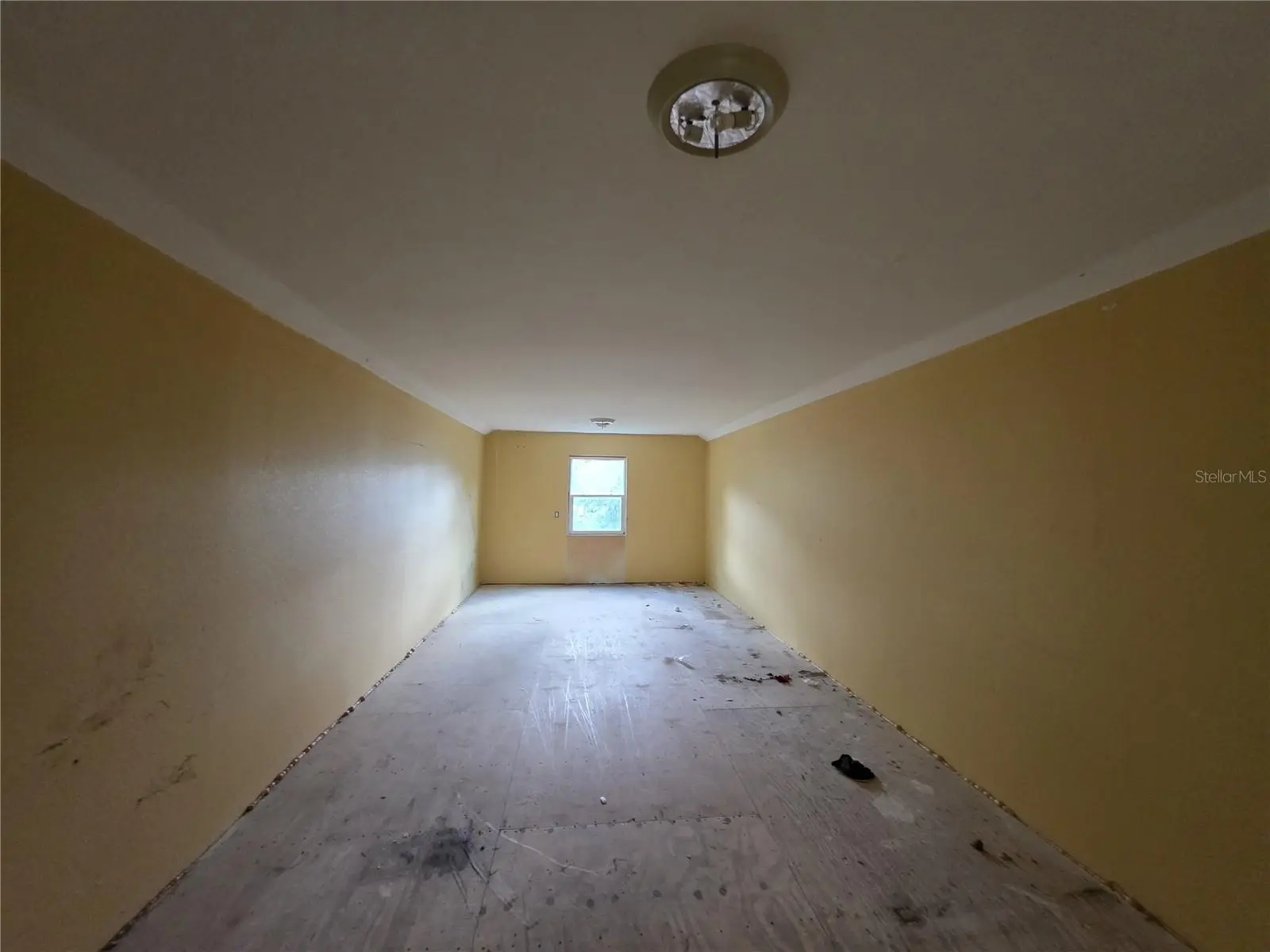 837 Lily Street, FL