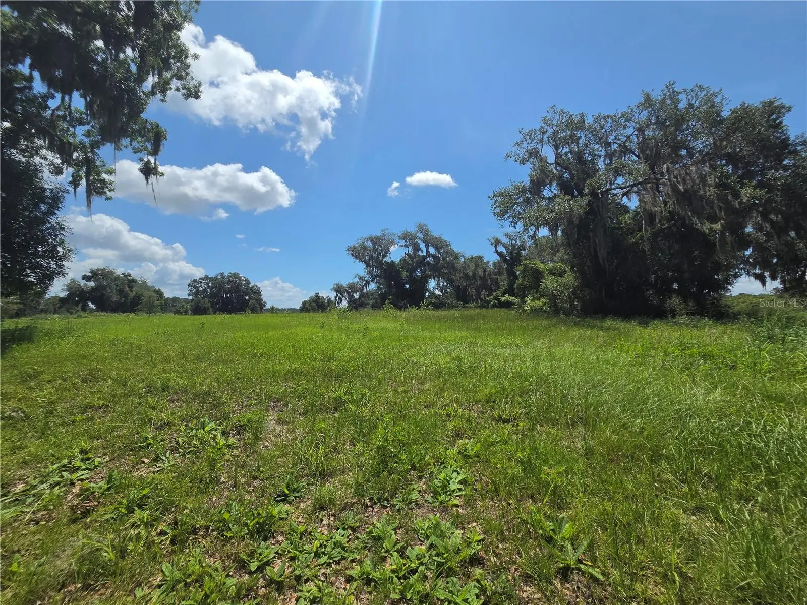466 Long And Winding Road, FL