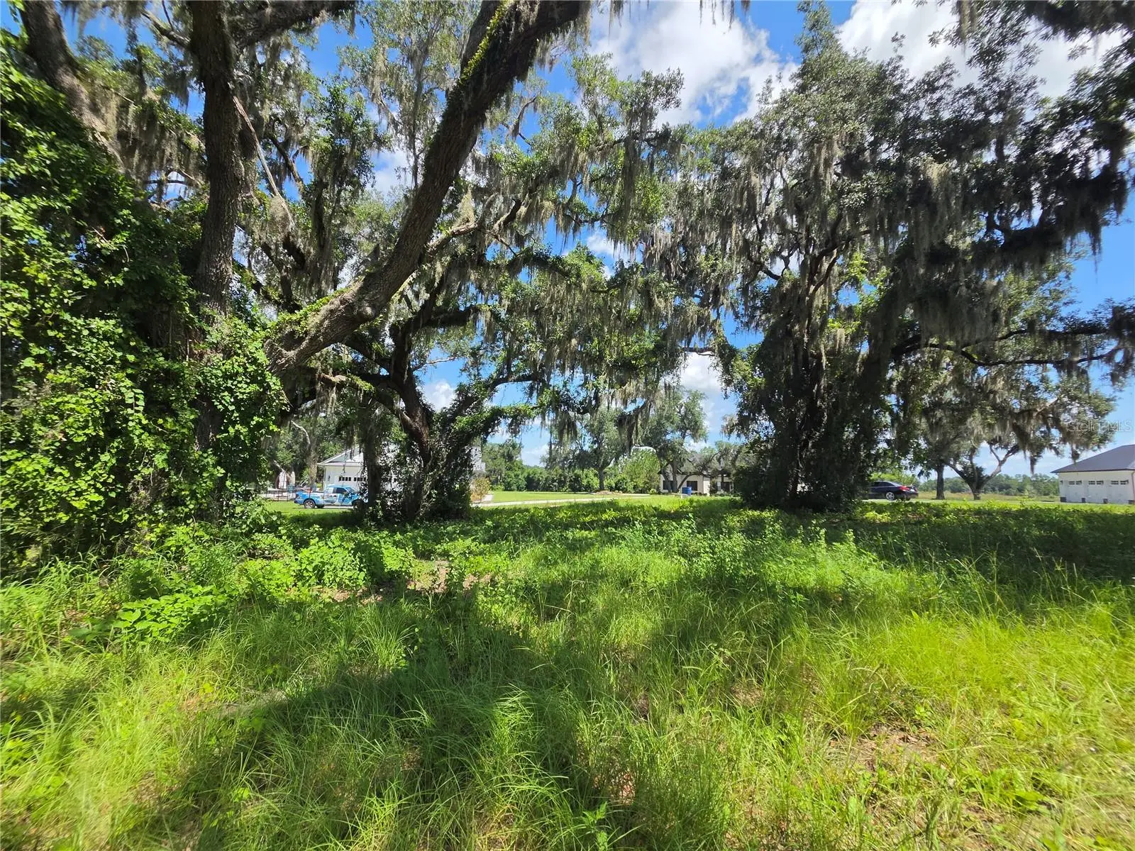 466 Long And Winding Road, FL