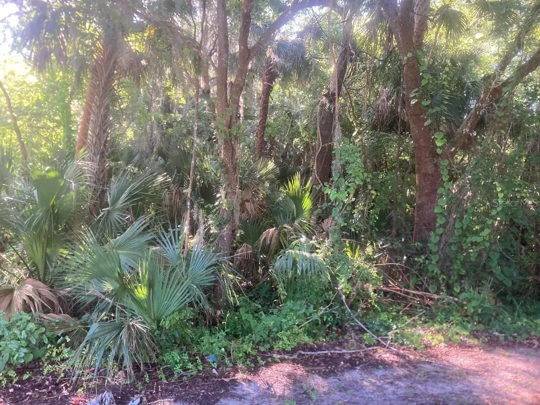 0 Nancy Street, FL