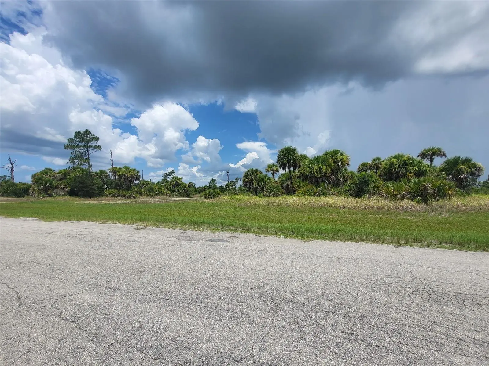 Fielders Road, FL