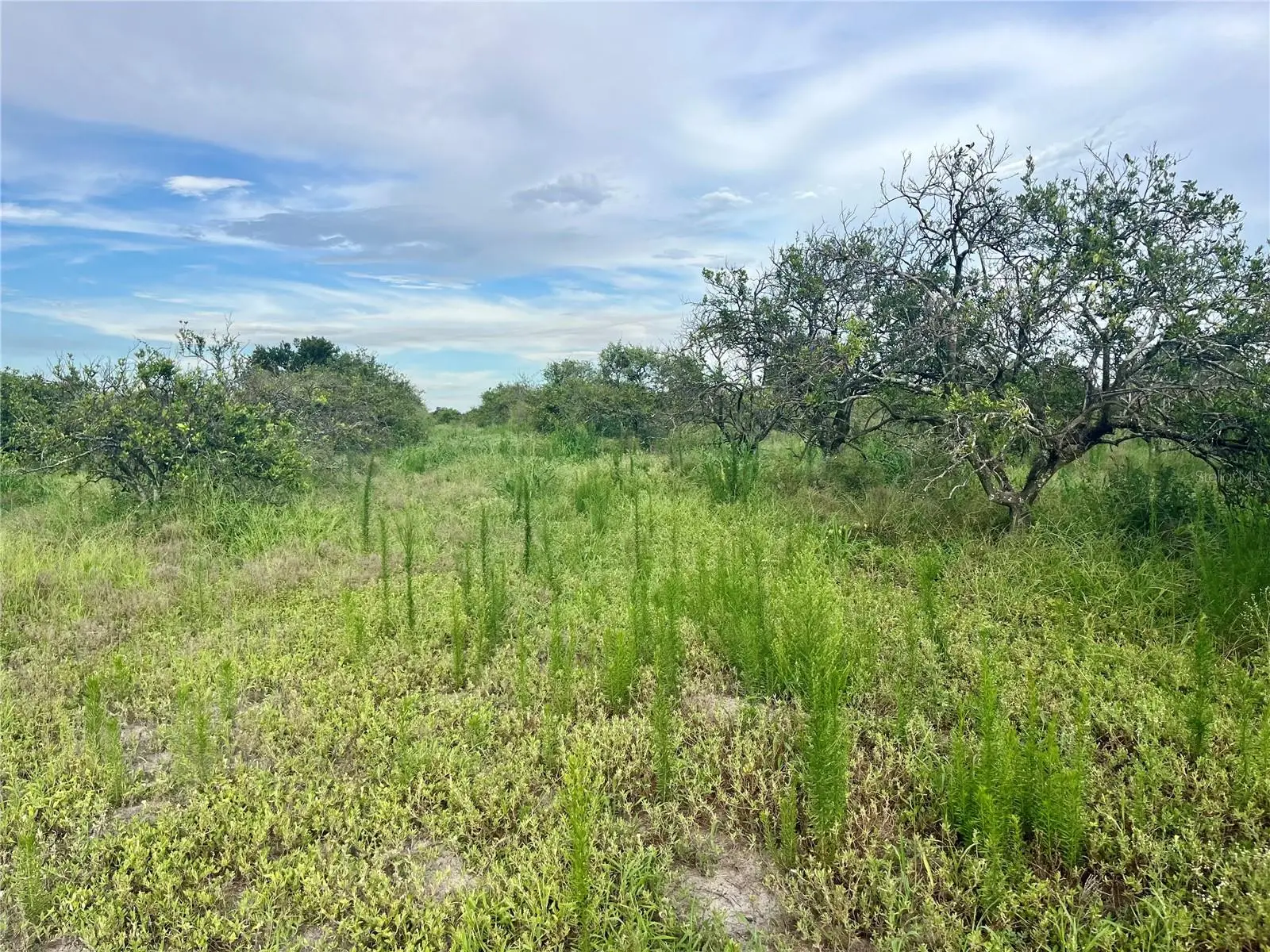 Hayman Road, FL