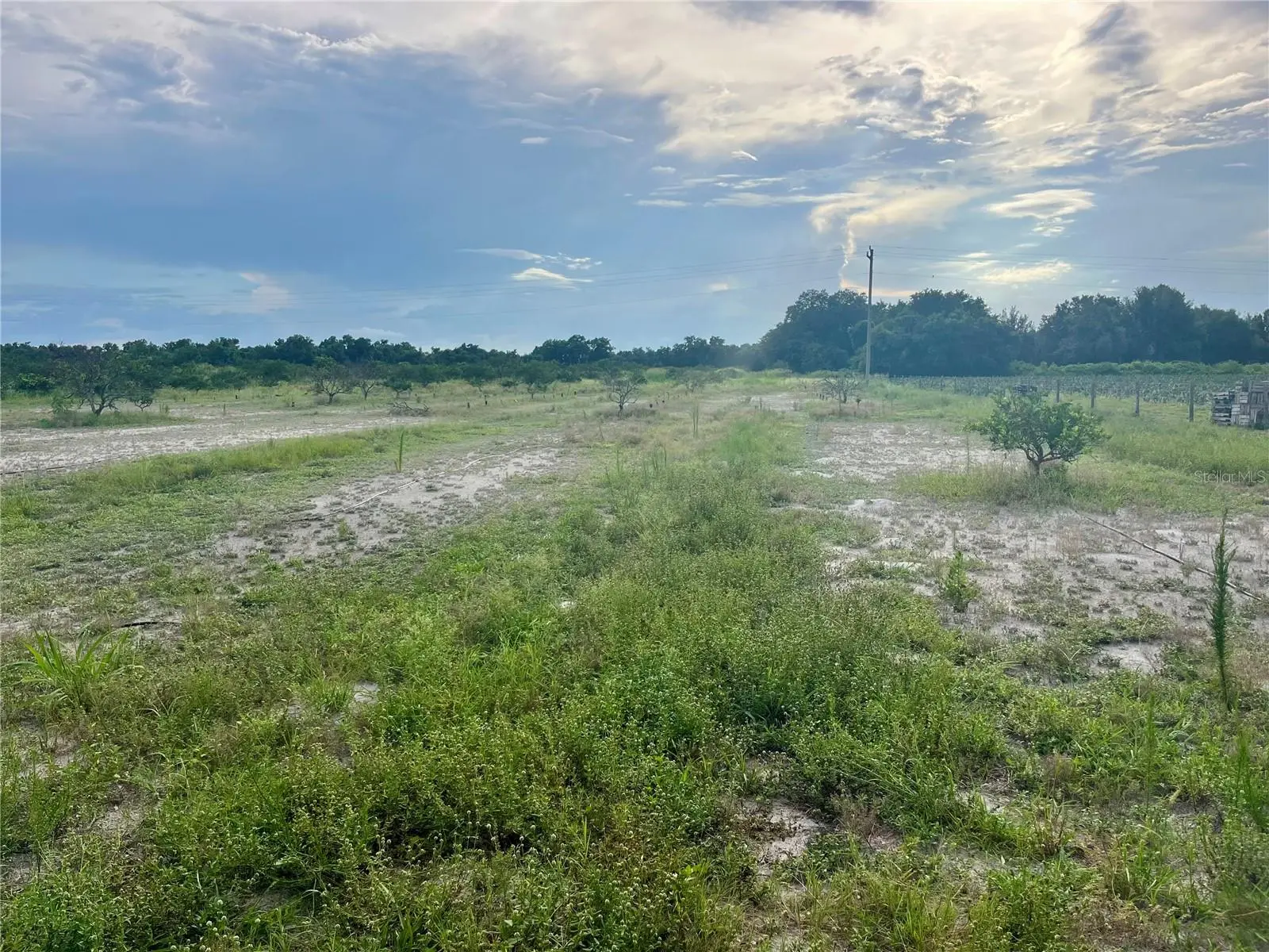 Hayman Road, FL