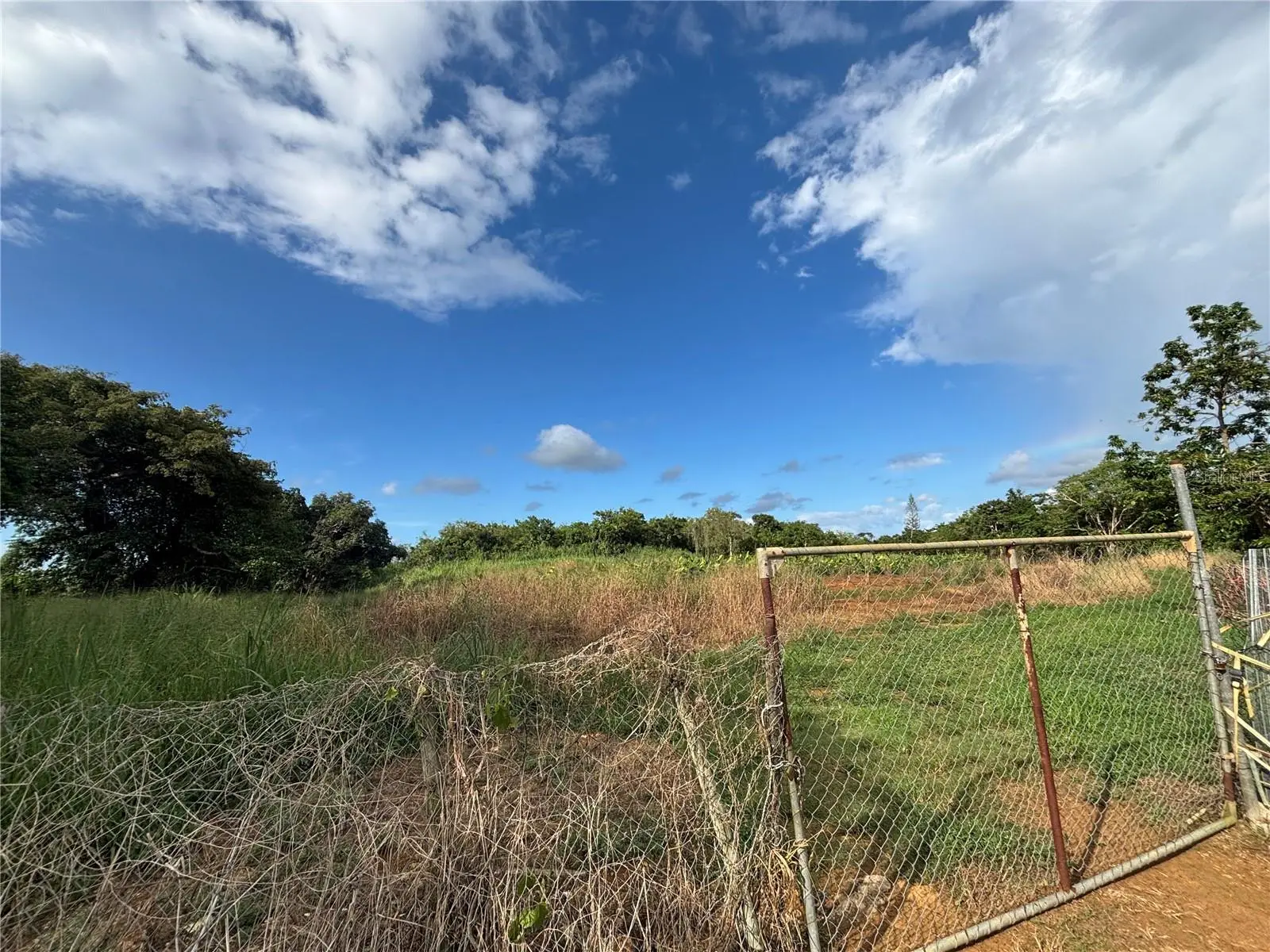 Barrio Ceiba Baja, PR