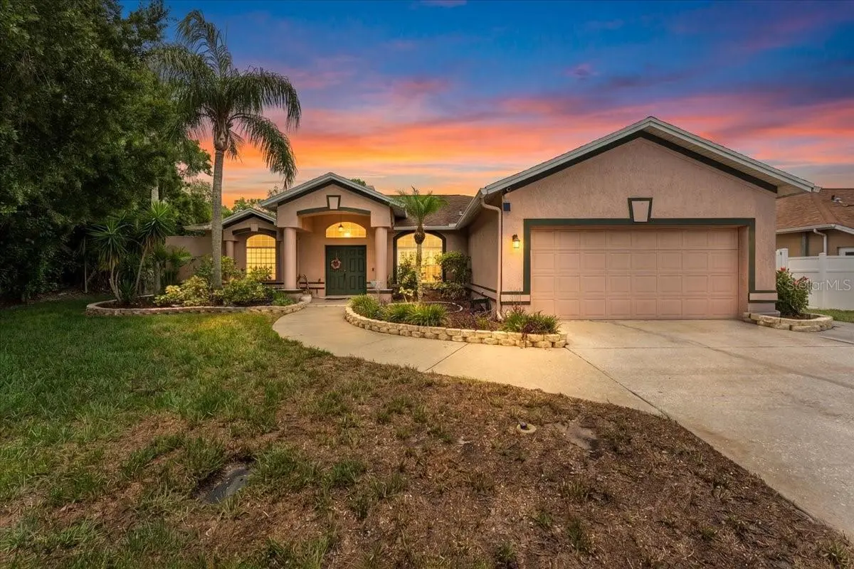 22804 Willow Lakes Drive, FL