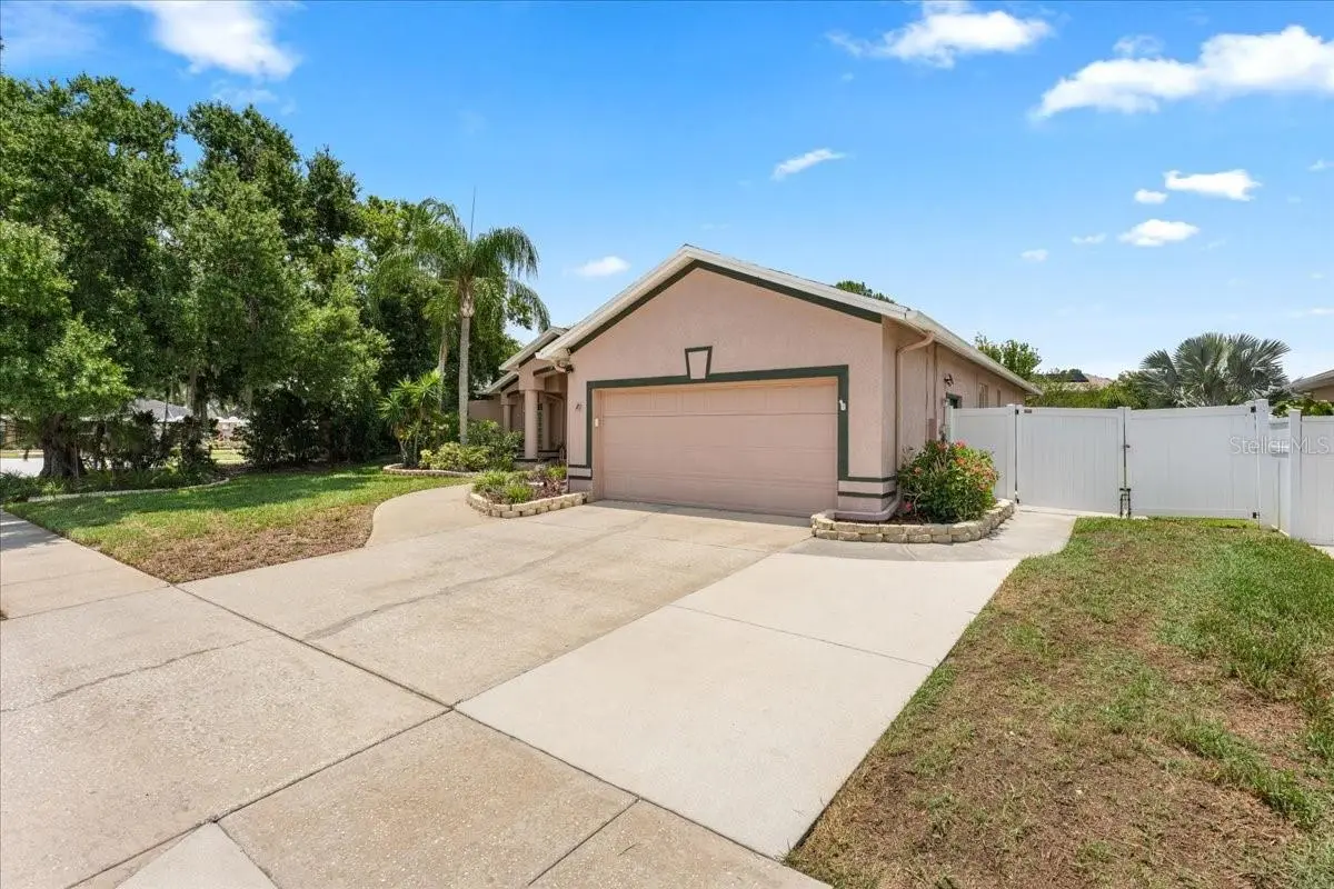 22804 Willow Lakes Drive, FL