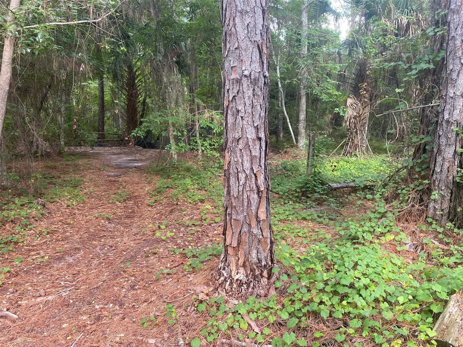 709 Georgetown Denver Road, FL