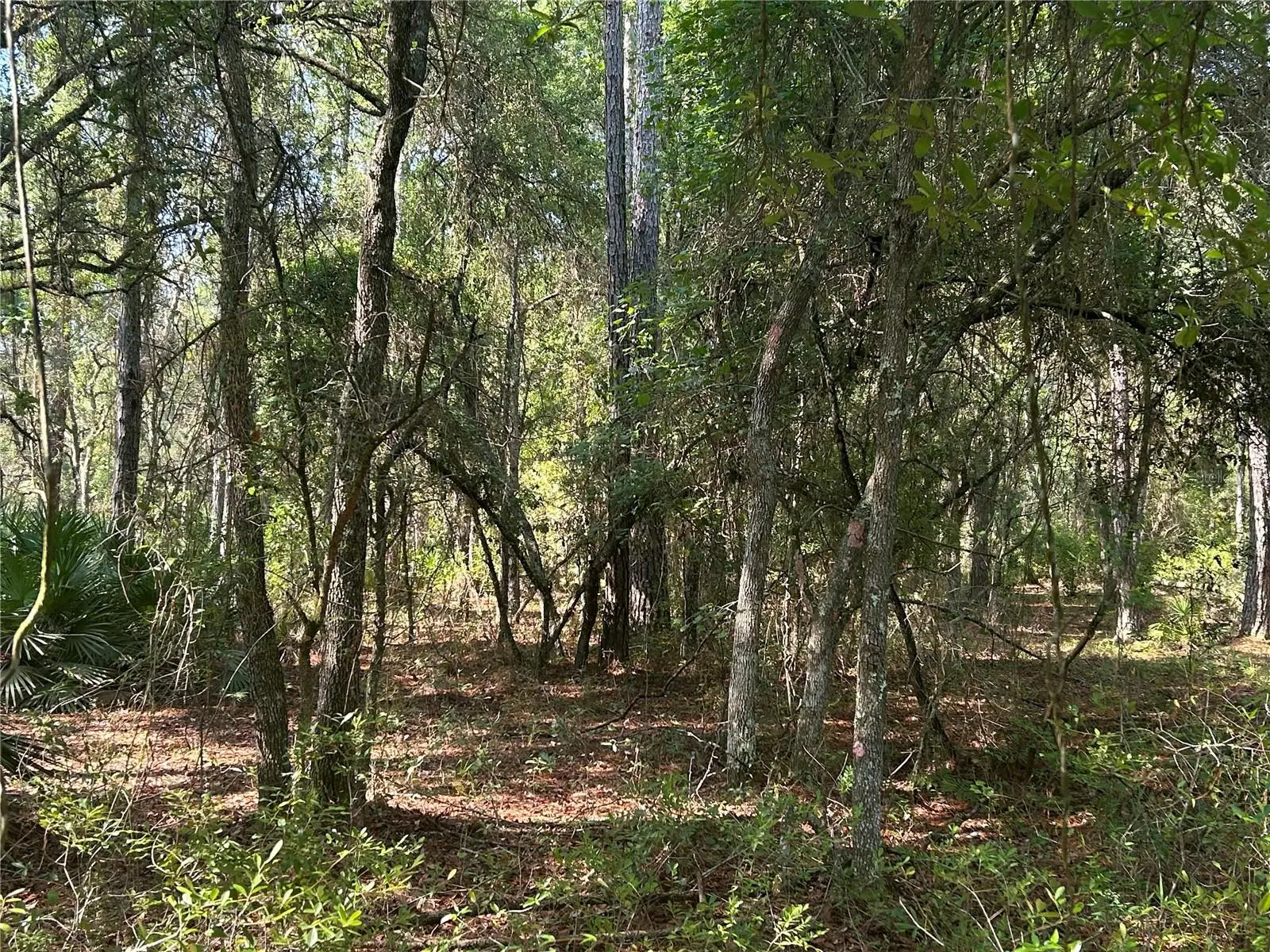 709 Georgetown Denver Road, FL