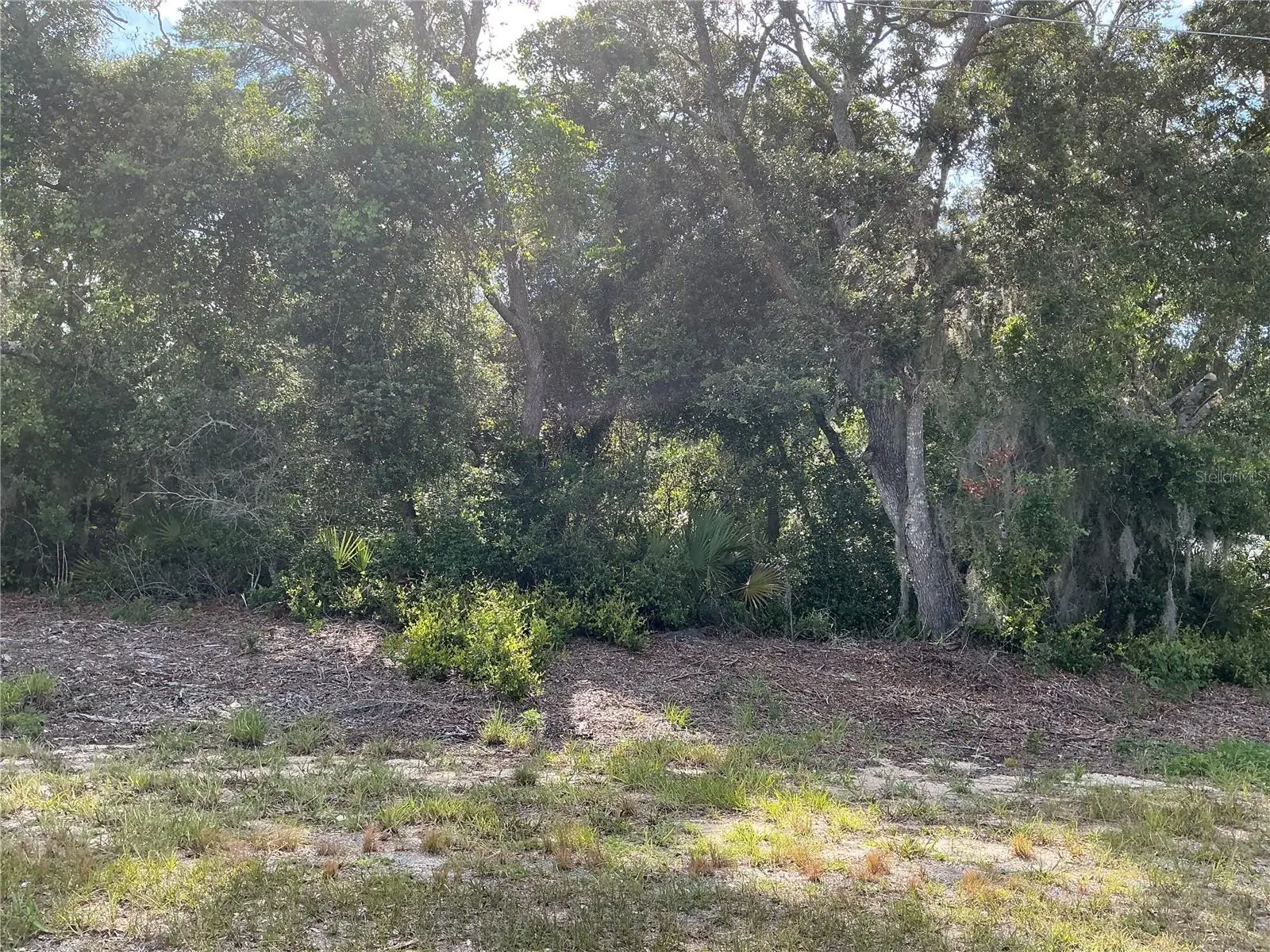 Olive Road, FL