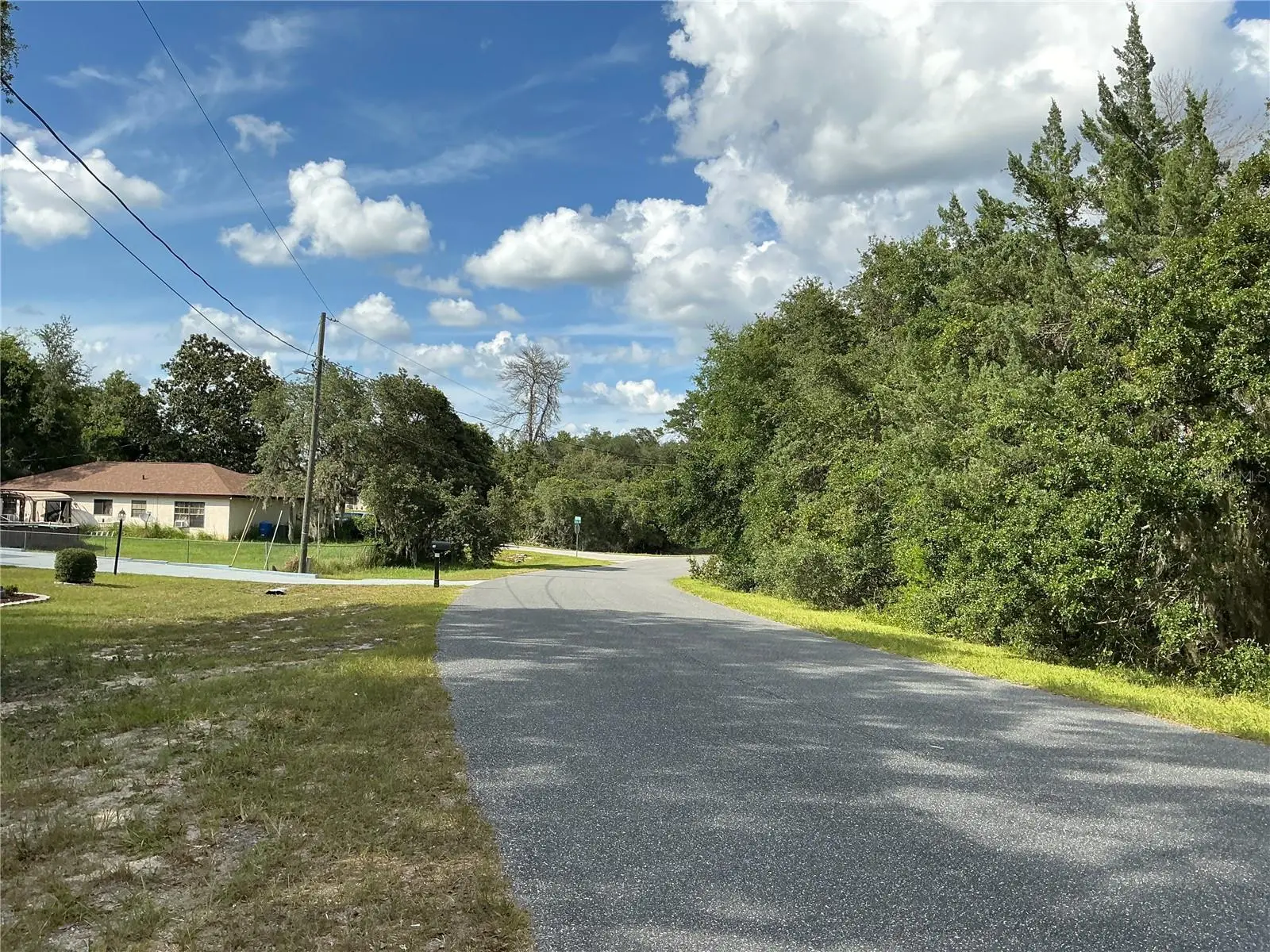 Olive Road, FL