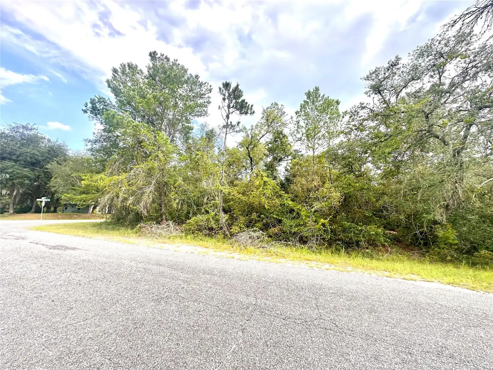 Saffron Avenue, FL
