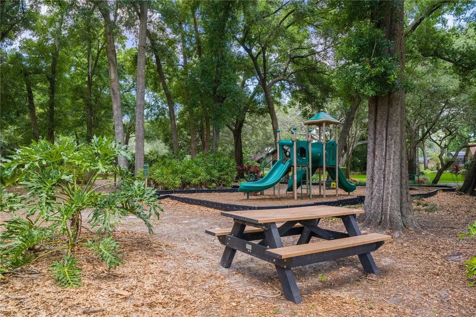 2009 Woody Drive, FL