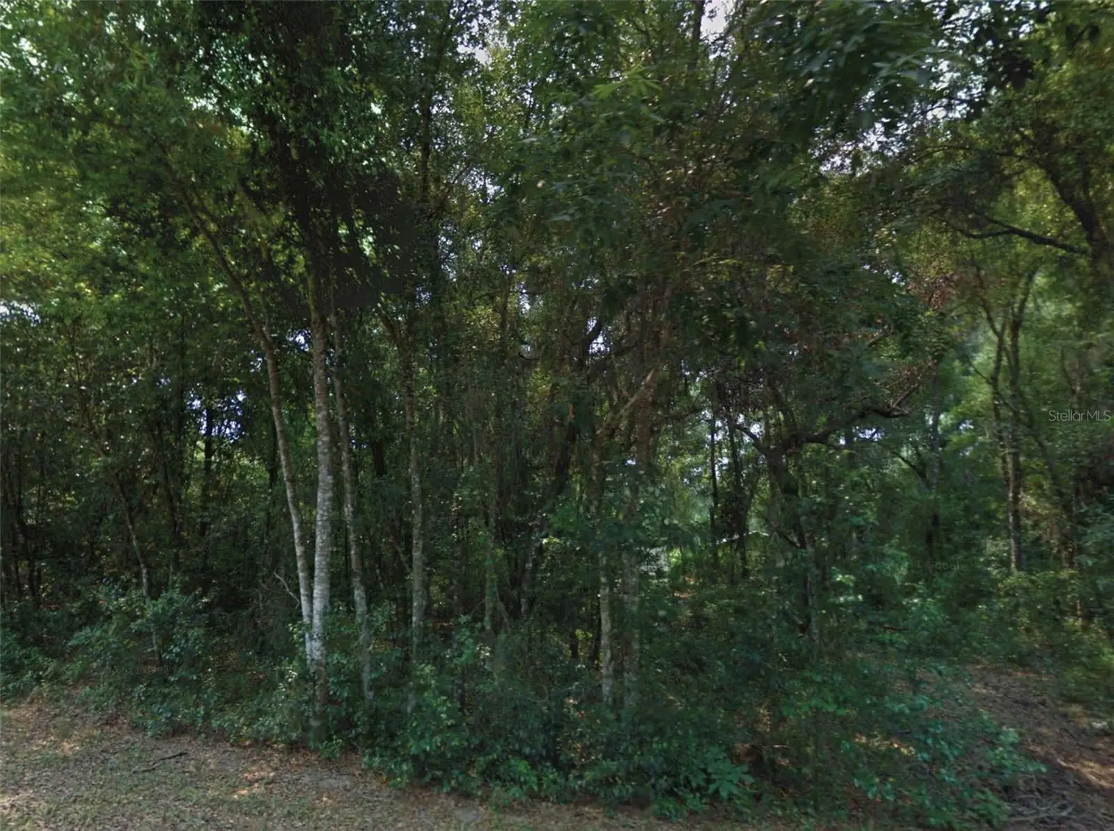 10534 Waxwing Lane, FL
