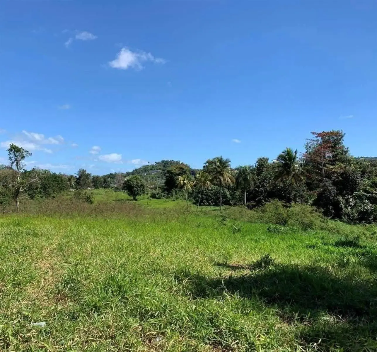 Pr 6684 Buena Vista Km Hm 2.5, PR