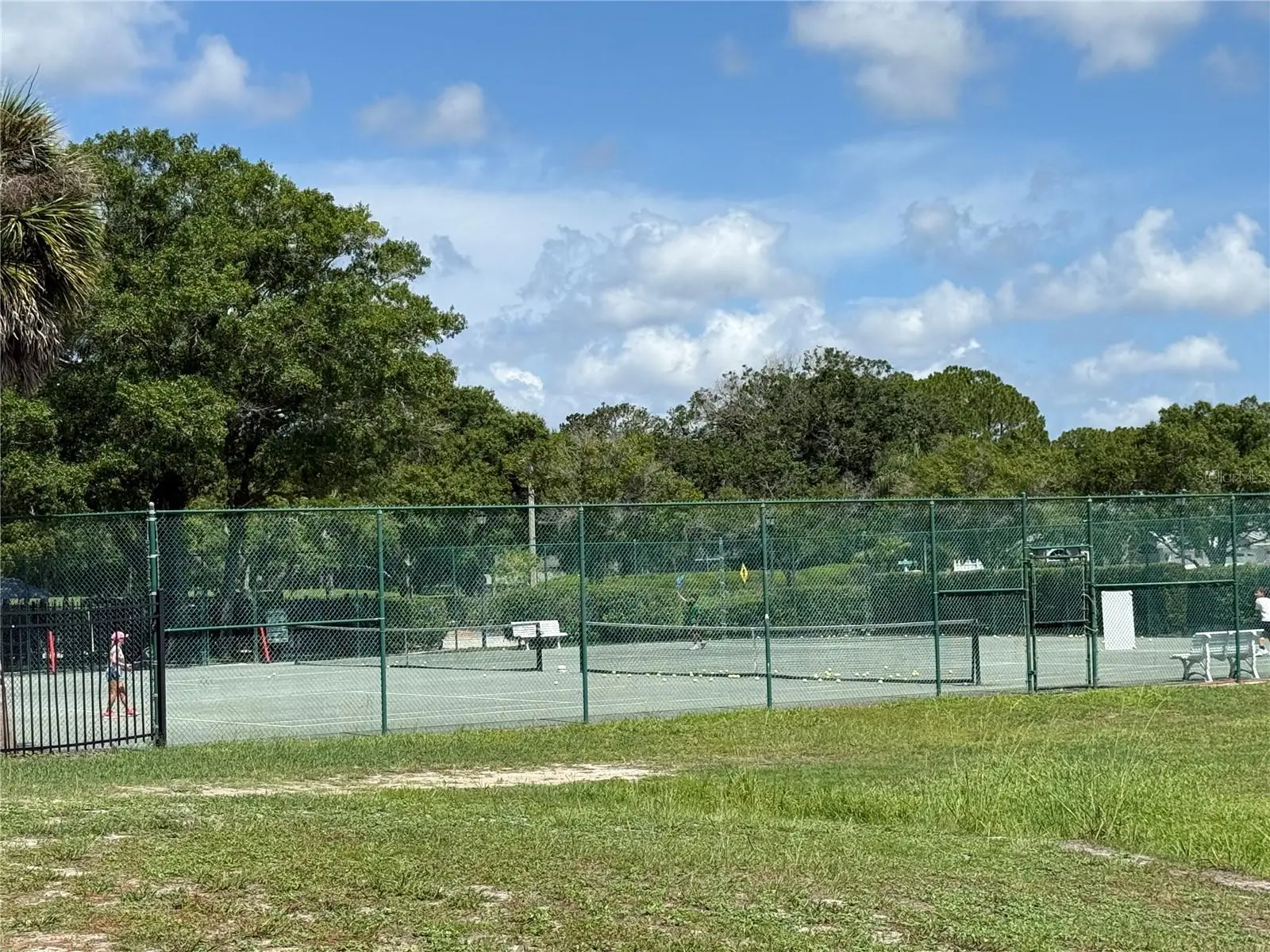 13108 Royal George Ave, FL