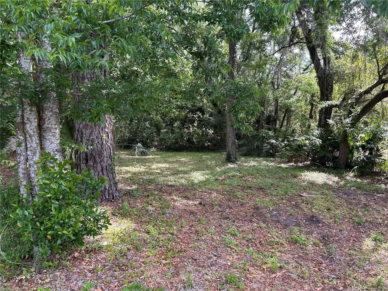 Tbd 12th Street, FL